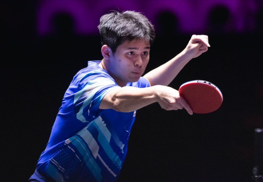 布鲁娜, S艾利克斯, 友政没有年 布鲁娜, S艾利克斯, 友政没有年